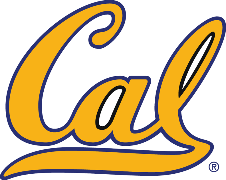 California Golden Bears 1992-Pres Alternate Logo diy fabric transfer...